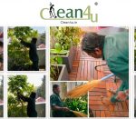 Garden and Lawn maintenance